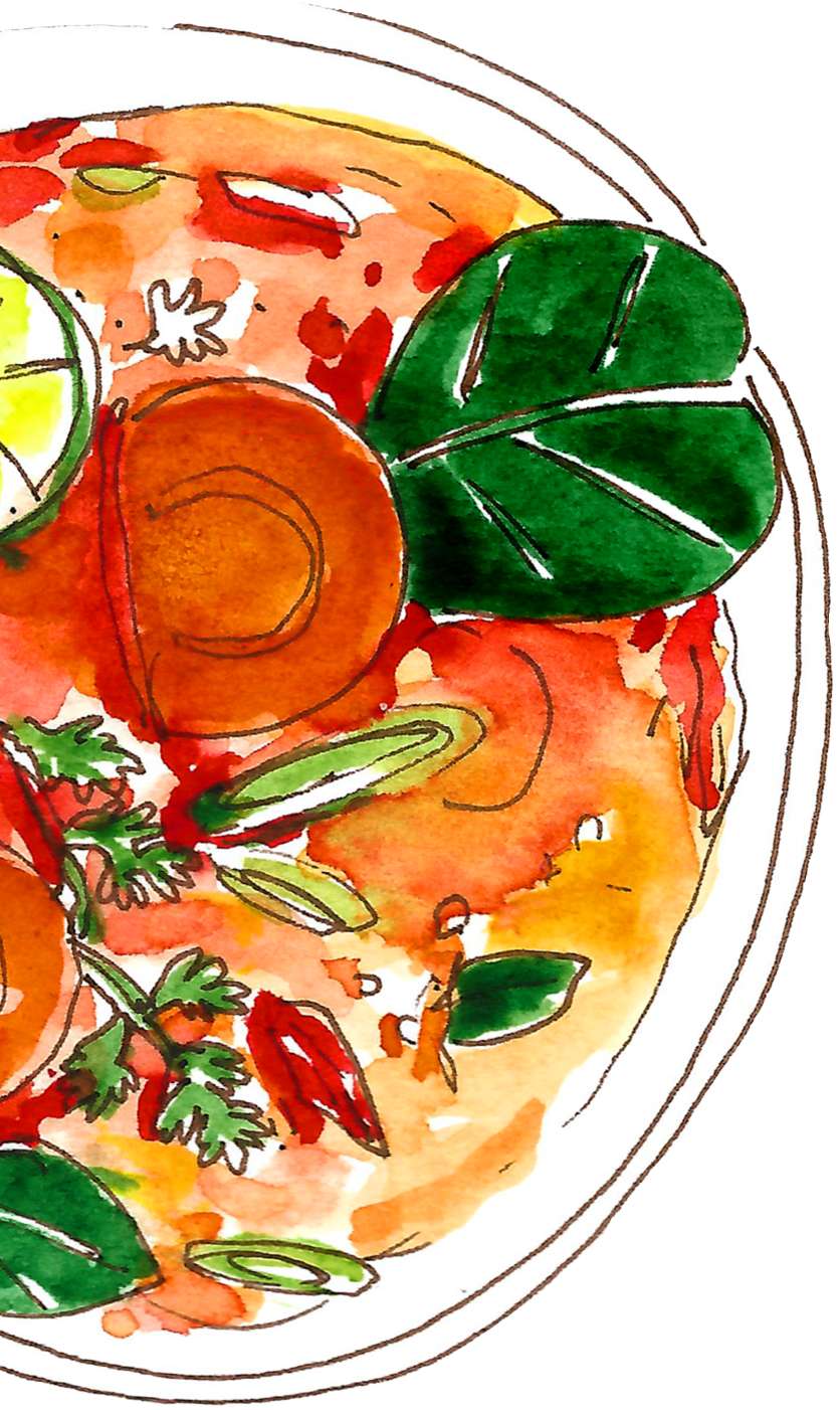 Suda's food bowl watercolour illustration